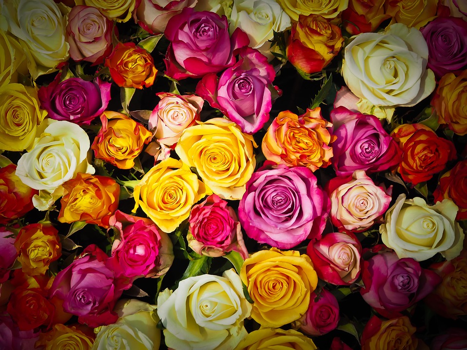Kwiaty na specjalne okazje - źródło: pixabay.com